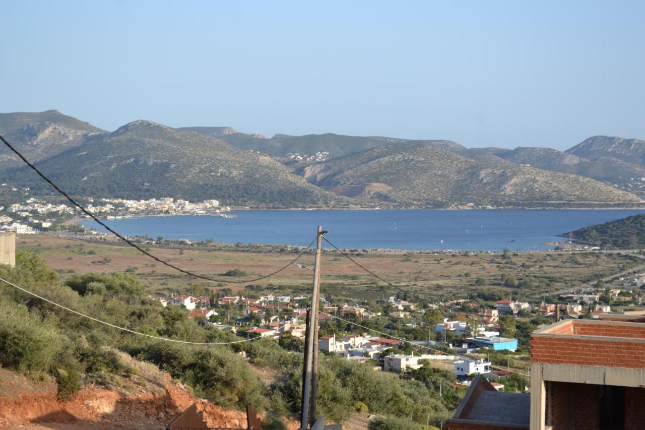 "Stergiou Luxury Apartments" Με Κοινη Πισινα Saronida Exteriér fotografie